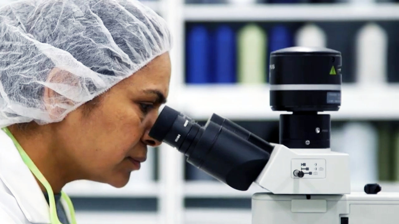 New-Diversity-Section-1C update